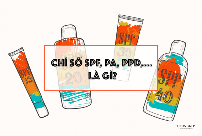 [CHAPTER 2] Chỉ số SPF, PA, PPD,...và cách chọn kem chống nắng cho từng loại da