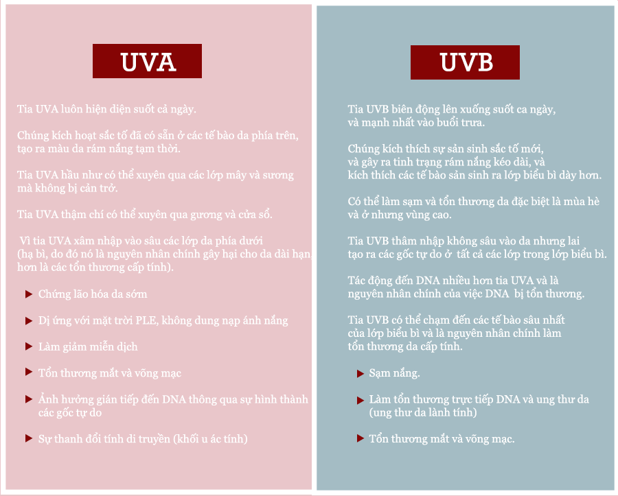Tác hại của tia UVA và UVB